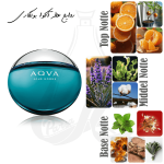 عطر بولگاری آکوا پور هوم | Bvlgari Aqva Pour Homme - Image 2
