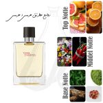عطر هرمس تق هرمس | Hermes Terre d’Hermes - Image 2