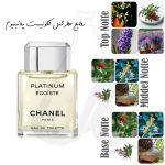 عطر شنل اگویست پلاتینیوم | Chanel Egoiste Platinum - Image 2