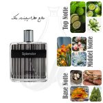 عطر اسپلندور بلک-مشکی | Splendor Black - Image 2