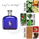 عطر رالف لورن پولو آبی در عطر پارسا